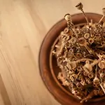 Ferienhaus Pension Gulla 度假居