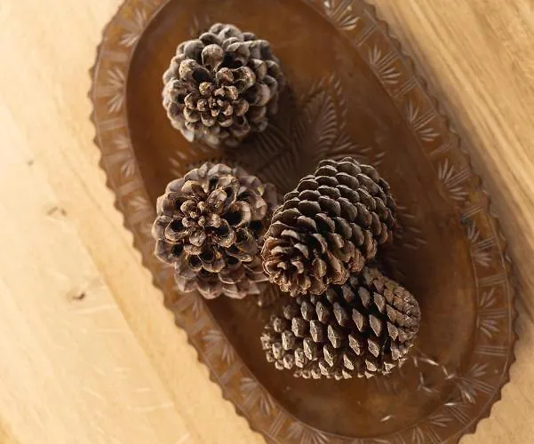 Ferienhaus Pension Gulla Дом отдыха *