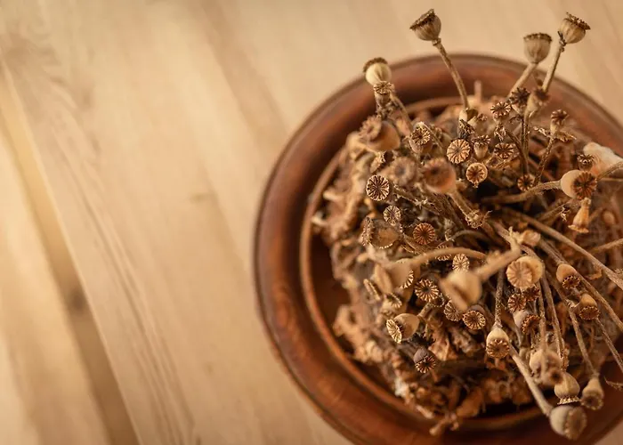 Ferienhaus Pension Gulla Casa de Férias